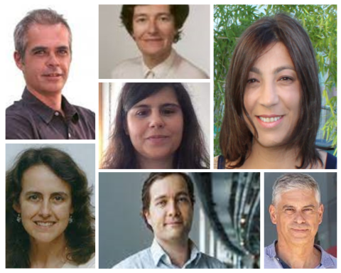 Portuguese Materials Society – New board for 2023-2025